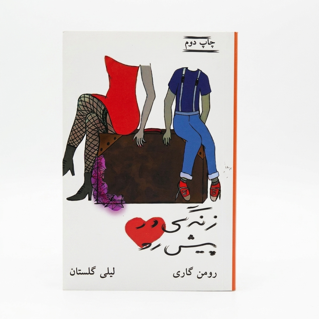 کتاب زندگی در پیش رو | اثر رومن گاری | ترجمه لیلی گلستان| نشر ثالث